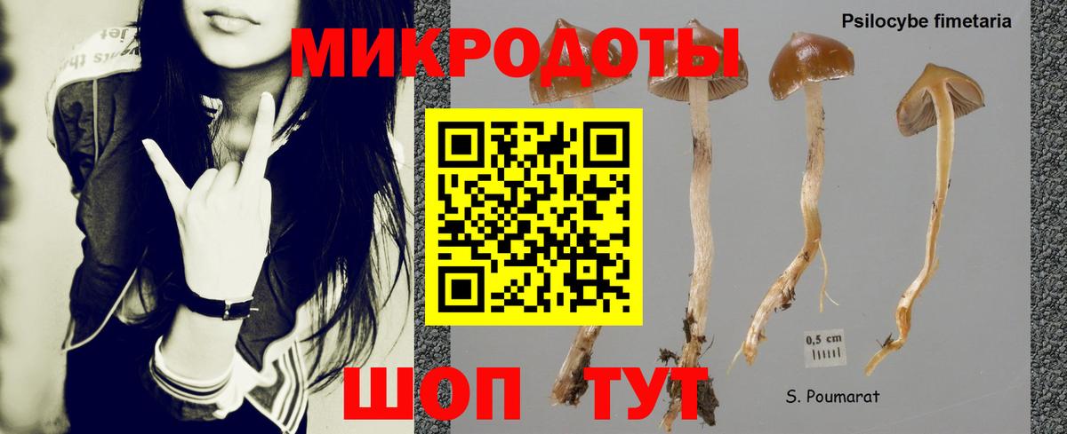 Псилоцибиновые грибы прущие грибы Чехов